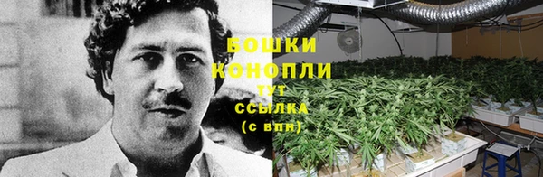 прущие крисы Осташков