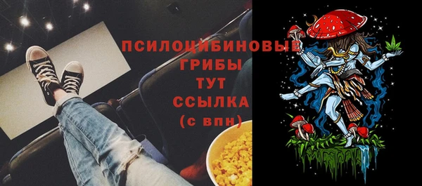 прущие крисы Осташков