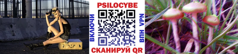 цены наркотик  Струнино  Псилоцибиновые грибы Psilocybine cubensis 